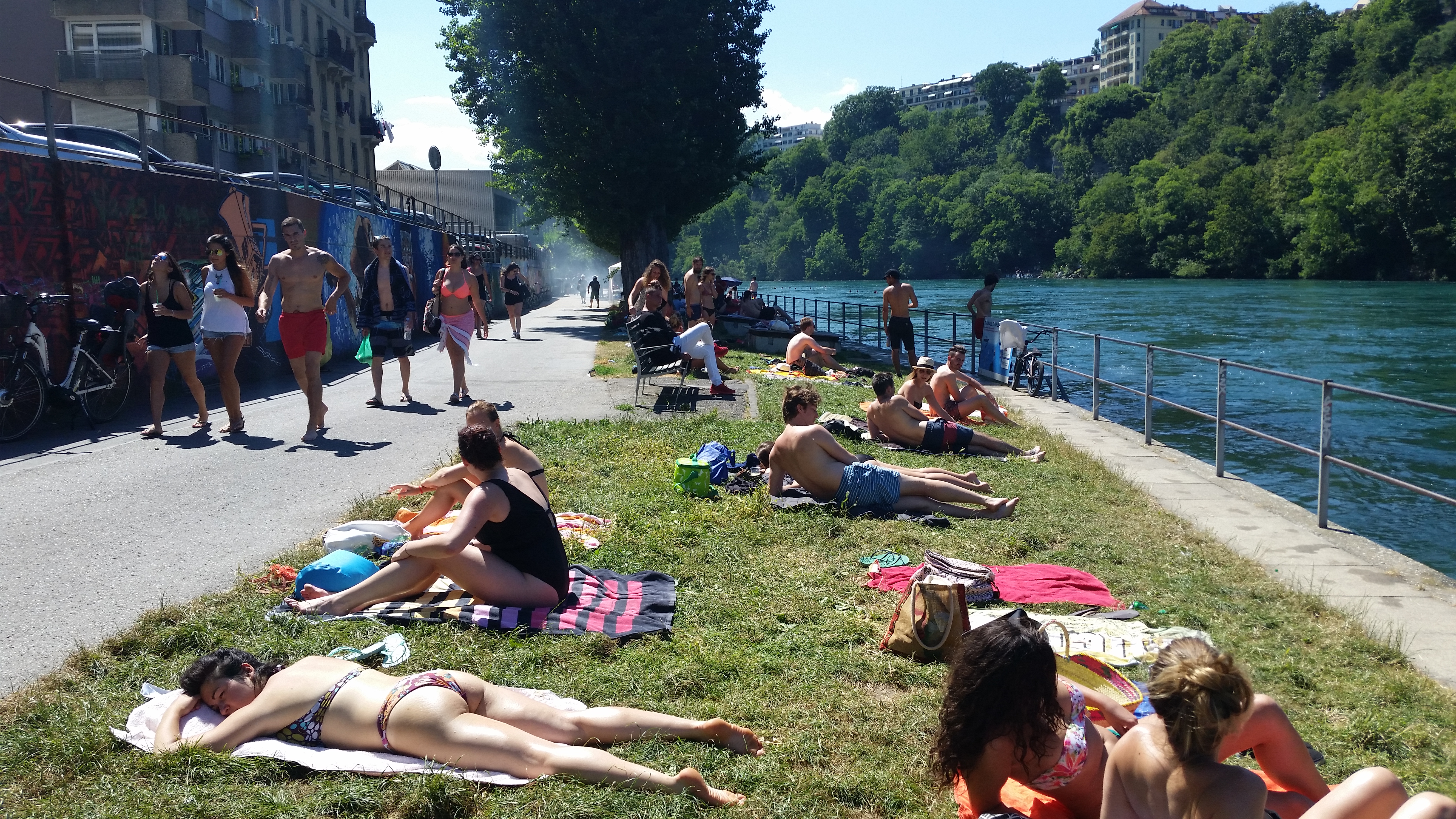 Le Sentier des Saules au bord du Rhône en été, Genève