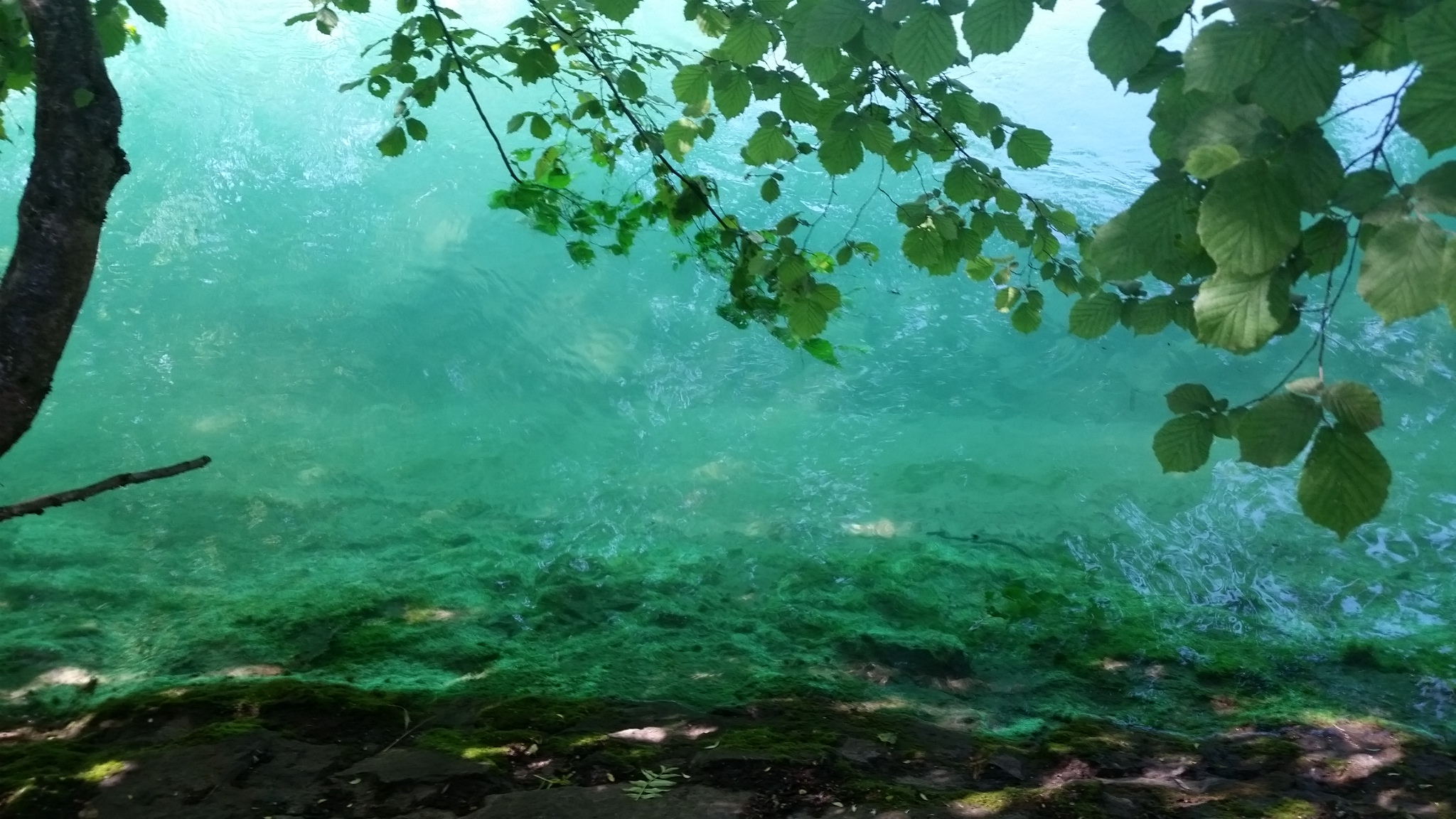 Photo du Rhône turquoise à la Pointe de la Jonction